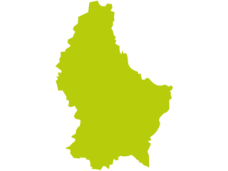 2011